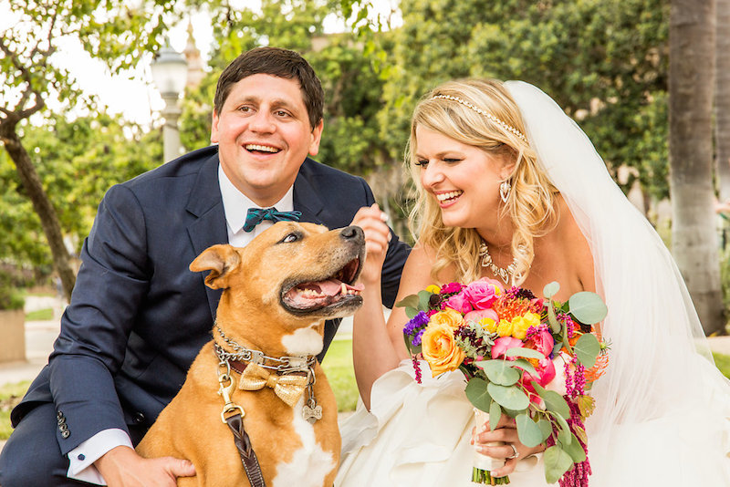 bride, groom, dog, bouquet