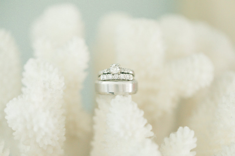 wedding rings, coral