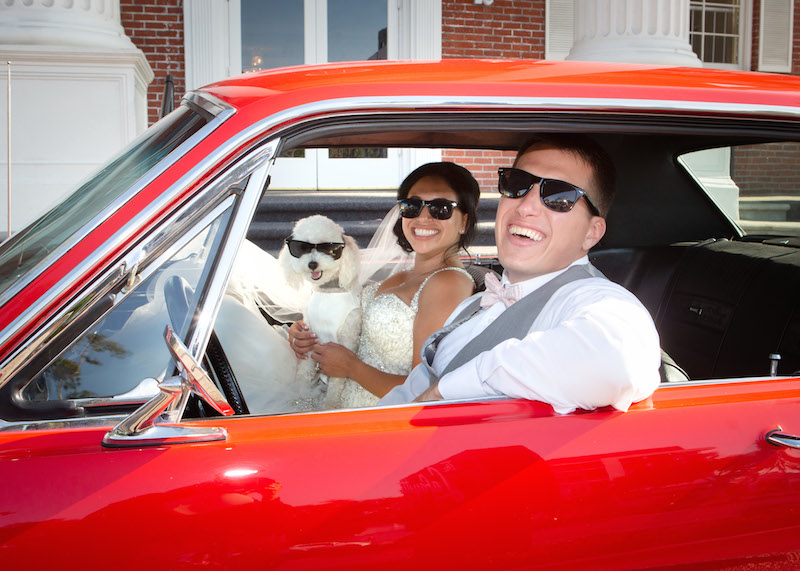 bride, groom, dog, vintage car