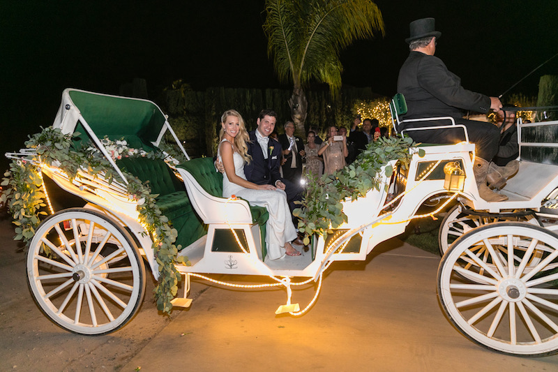 bride, groom, horse drawn carriage