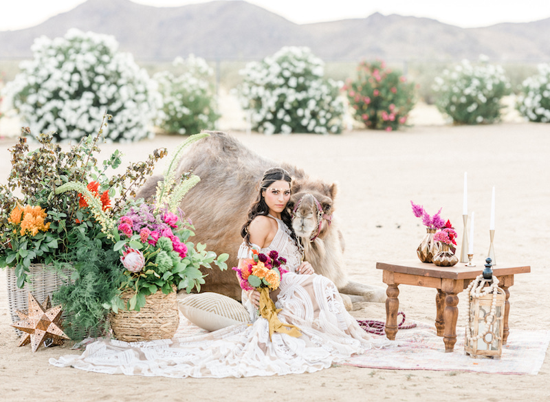 bride, wedding dress, camel, desert