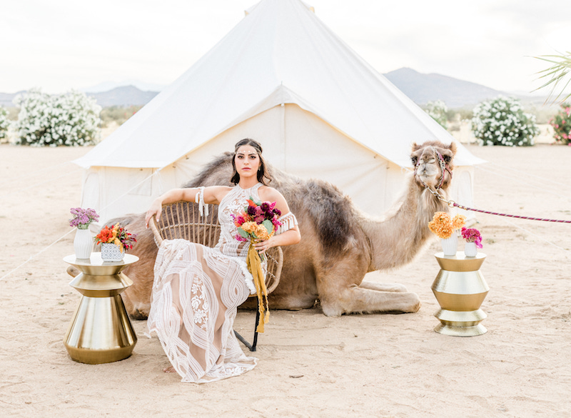 bride, wedding dress, camel, bouquet, tent, yurt