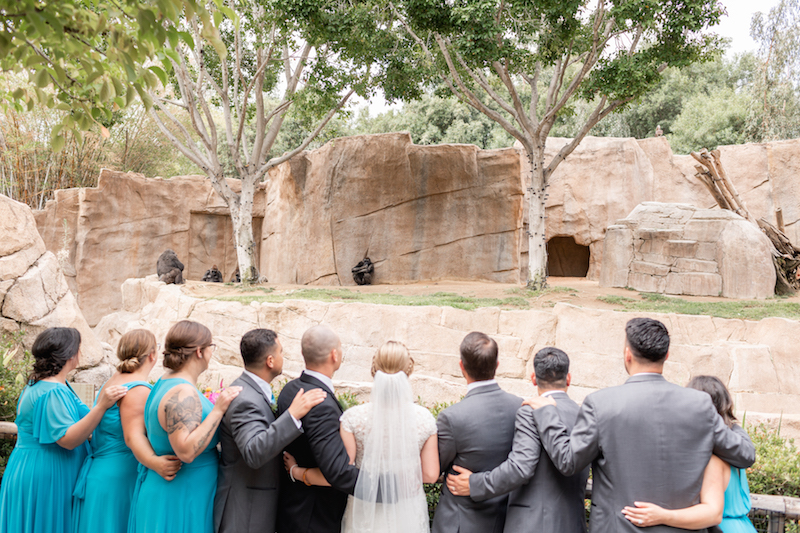 bride and groom with wedding party at zoo