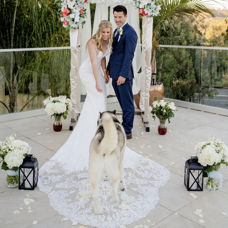 bride and groom with best dog