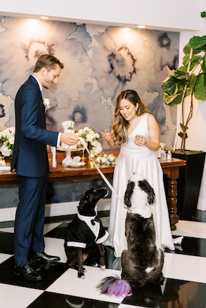 bride and groom with wedding dogs