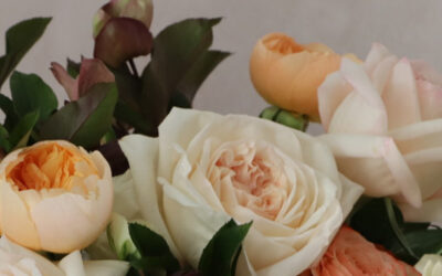 Allie Tarolli Studio